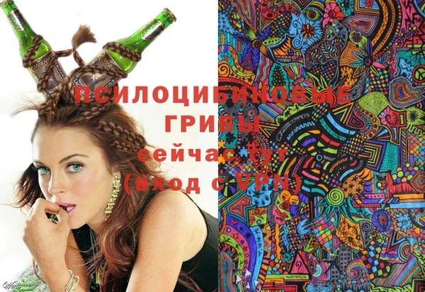 спайс Киреевск
