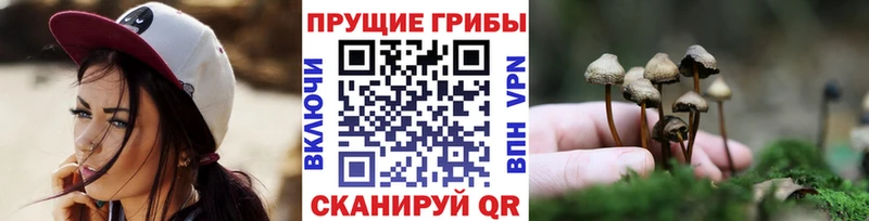 Галлюциногенные грибы GOLDEN TEACHER  Купить где  Пикалёво 